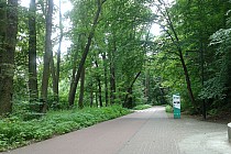 Ścieżka rowerowa w Parku Północnym w Sopocie