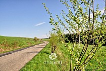 Wiosna w Beskidzie Niskim