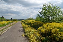 Strona Słowacka trasy