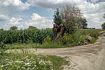 Odrobinę w bok i takie widoczki :)