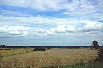 Okolice Czarnoborska. Na horyzoncie widać Rawicz