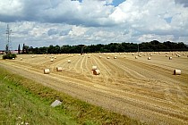 Letni widok z wiaduktu tuż za Rawiczem