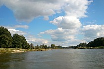 Nad Odrą w okolicach Bełcza Wielkiego