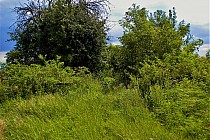 "Przejezdny" szlak za Sobociskiem