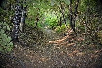 Suchogórski Labirynt Skalny