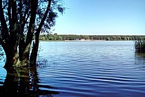 Jezioro Wonieskie. Widok na kąpielisko Nowy Dębiec z przeciwnego brzegu.