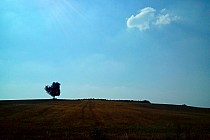 Na wzgóżach za Wińskiem.