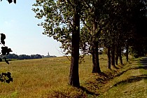 Z dojazdu do Wińska