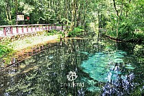 Rezerwat Niebieskie Źródła