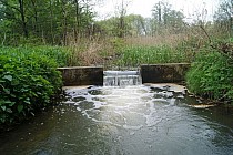 KuzniawSiodelku.pl - Meandry Suminki