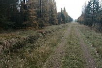 KuzniawSiodelku.pl - Spotkanie z drapieżnikiem