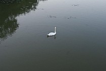 KuzniawSiodelku.pl - Łężczok Inaczej