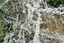 KuzniawSiodelku.pl - Spotkanie z drapieżnikiem