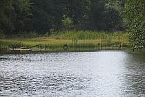 KuzniawSiodelku.pl - „Odwiedziny u Bobrzej rodziny”