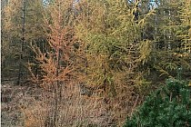 KuzniawSiodelku.pl - Spotkanie z drapieżnikiem