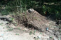 KuzniawSiodelku.pl - Śląsko-Opolska Pustynia