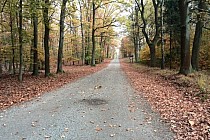 KuzniawSiodelku.pl - Nowy punkt obserwacyjny w lesie