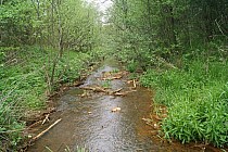 KuzniawSiodelku.pl - Meandry Suminki