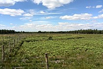 KuzniawSiodelku.pl - Magdalenka inaczej