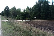 KuzniawSiodelku.pl - Magdalenka inaczej