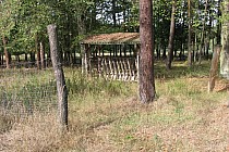 KuzniawSiodelku.pl - „Odwiedziny u Bobrzej rodziny”