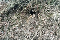 KuzniawSiodelku.pl - W Poszukiwaniu Historii