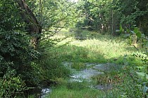 KuzniawSiodelku.pl - „Odwiedziny u Bobrzej rodziny”