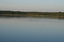 KuzniawSiodelku.pl - Łężczok Inaczej