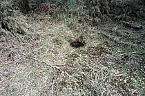 KuzniawSiodelku.pl - W Poszukiwaniu Historii