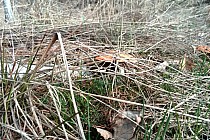 KuzniawSiodelku.pl - W Poszukiwaniu Historii