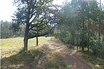 KuzniawSiodelku.pl - „Odwiedziny u Bobrzej rodziny”