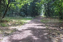 KuzniawSiodelku.pl - „Odwiedziny u Bobrzej rodziny”