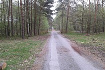 KuzniawSiodelku.pl - Nowy punkt obserwacyjny w lesie