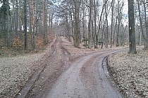 KuzniawSiodelku.pl - Szlakiem leśniczówek