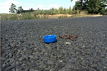 KuzniawSiodelku.pl - Śląsko-Opolska Pustynia