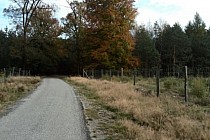 KuzniawSiodelku.pl - Spotkanie z drapieżnikiem