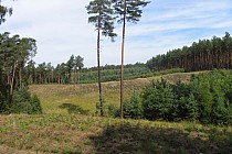 KuzniawSiodelku.pl - „Odwiedziny u Bobrzej rodziny”