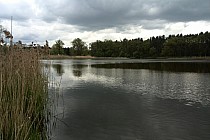 KuzniawSiodelku.pl - Meandry Suminki