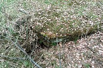 KuzniawSiodelku.pl - W Poszukiwaniu Historii