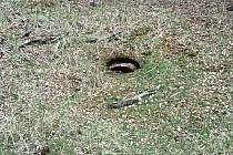 KuzniawSiodelku.pl - W Poszukiwaniu Historii