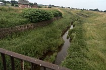 KuzniawSiodelku.pl - Brzegiem Suminiki – koniec