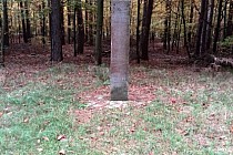 KuzniawSiodelku.pl - Spotkanie z drapieżnikiem