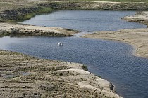 KuzniawSiodelku.pl - KOPARKI