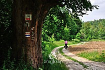 Rowerowy Jurajski Szlak Orlich Gniazd