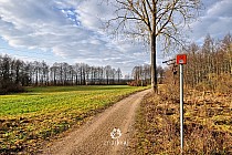 Green Velo w Wigrach