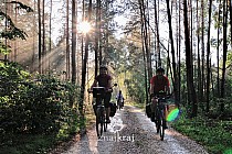 Na leśnym odcinku szlaku