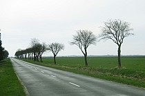 Droga za Słupią Kapitulną