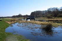 Barycz. Wezbrana mocniej niz Orla