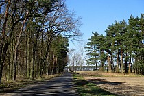 Szosa w kierunku Gatki