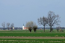 Widok na Poniec z drogi za Sowinami